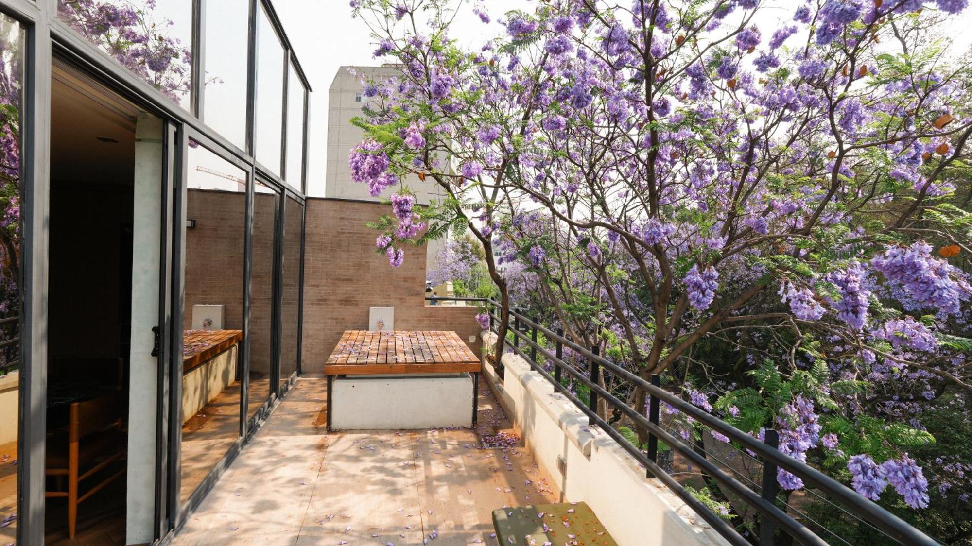 Rodona Hotel مدينة مكسيكو المظهر الخارجي الصورة