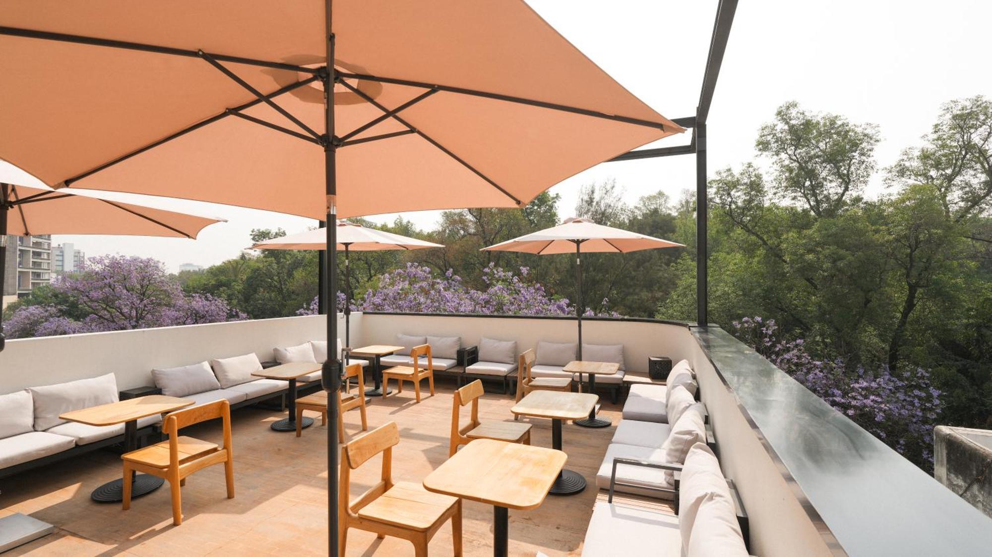 Rodona Hotel مدينة مكسيكو المظهر الخارجي الصورة