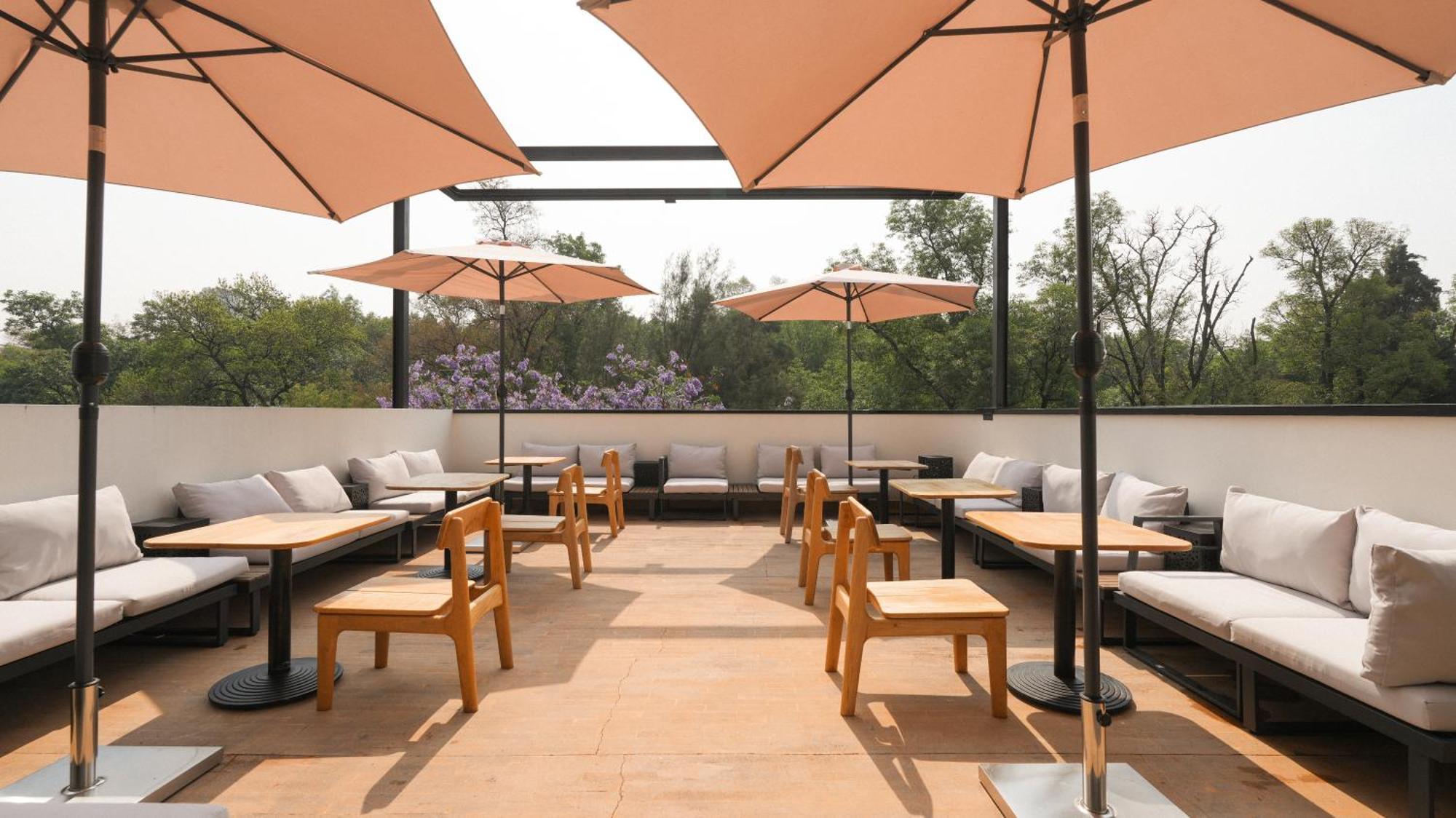 Rodona Hotel مدينة مكسيكو المظهر الخارجي الصورة